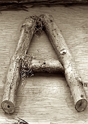 Wall_Art_Alphabet_Photography_Art_ 117